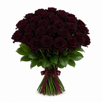 25 чёрных роз Эквадор 60 см (классик), доставка