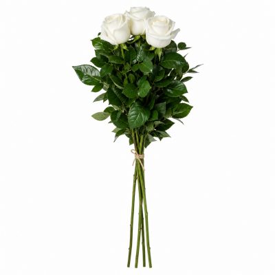 3 белые розы Голландия 100 см